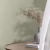Обои Marburg Touch Burlap 98802 10,05×1,06 фото в интерьере