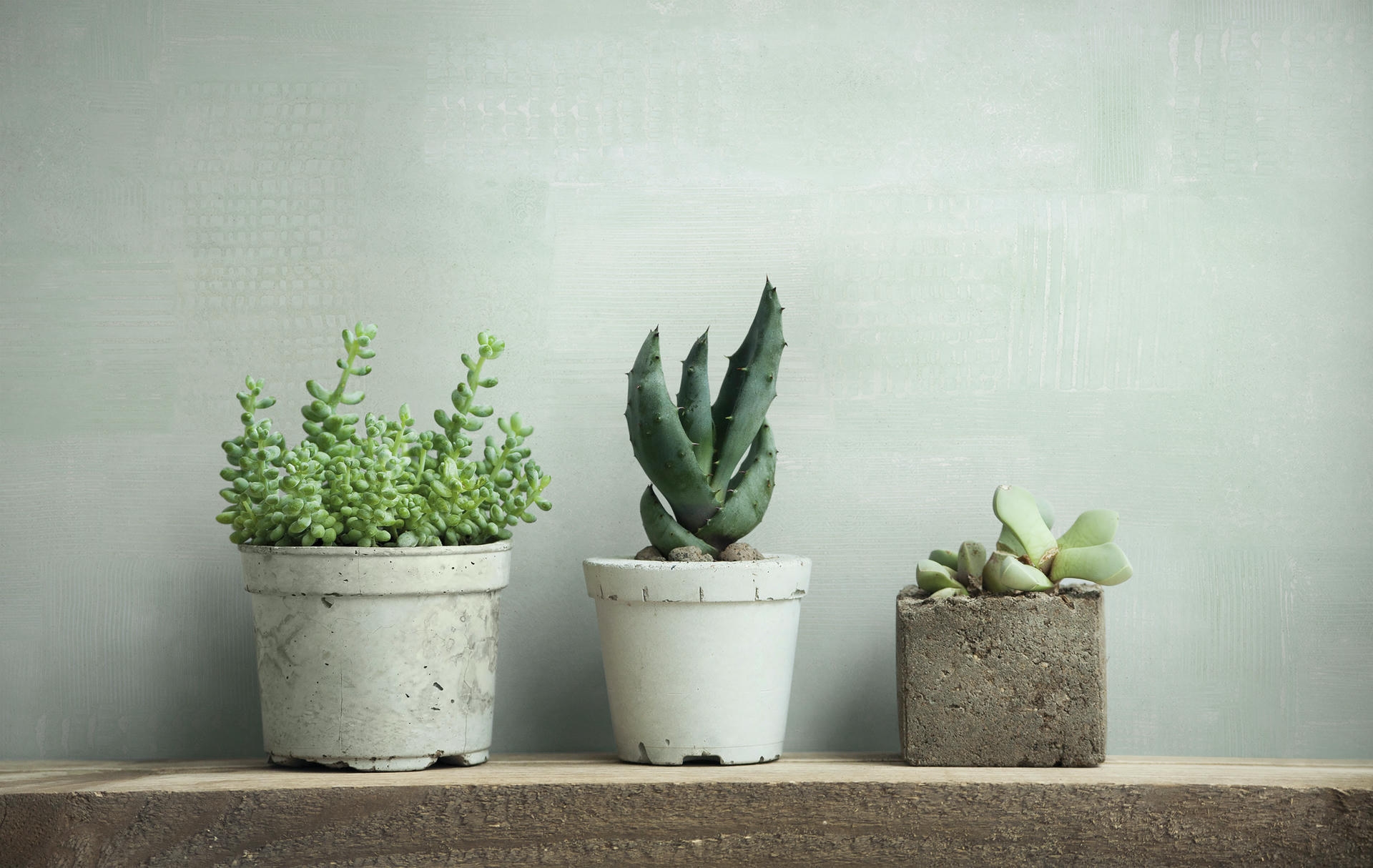 Обои Marburg Fresh Up 88997 10,05×0,53 фото в интерьере