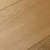 Кварцвиниловый SPC ламинат Damy Floor Family Дуб Медовый DF03-F 1220×180×4,2
