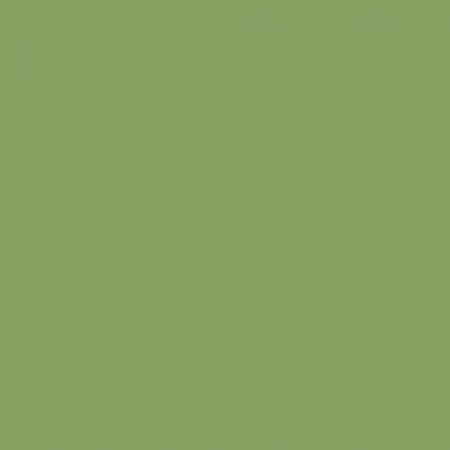 Обои Milassa Ambient vol.4 Plain Дикий лук AM4 005/1 10,05×1