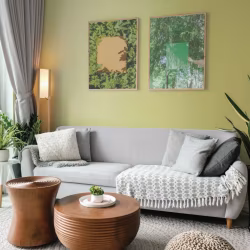 Обои Milassa Ambient vol.4 Plain Ромашковый чай AM4 105/1 10,05×1