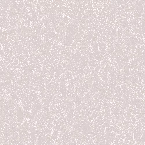 Обои Loymina A La Prima Moon PM7 001 10,05×1