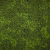 Ковровая плитка Bonkeel Sunrise Green 500×500×5