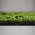 Ковровая плитка Bonkeel Sunrise Green 500×500×5