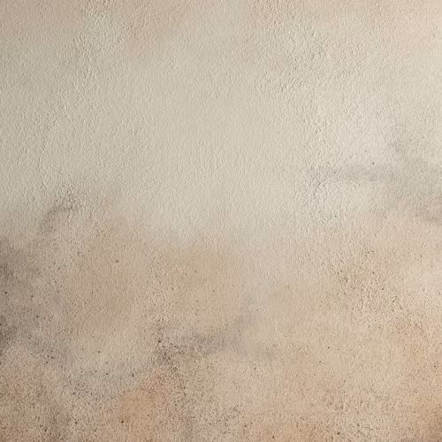 Штукатурка декоративная Lanors Силика Silica Silver 10 кг