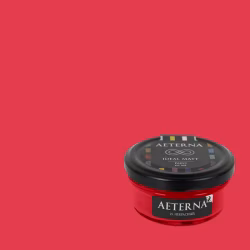 Краска Aeterna цвет Некрасный 25