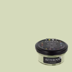Краска Aeterna цвет Жерделевый 45