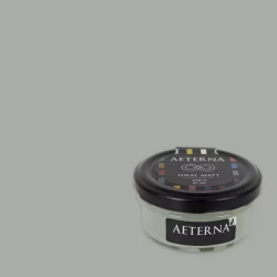 Краска Aeterna цвет Первый Снег Темный 59