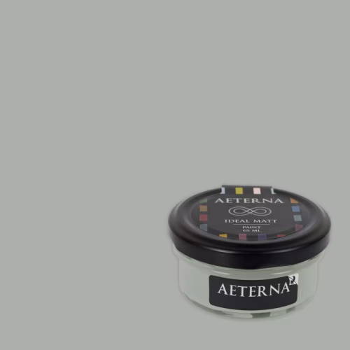 Краска Aeterna цвет Морось Темная 67 Ideal Matt 0,065 л