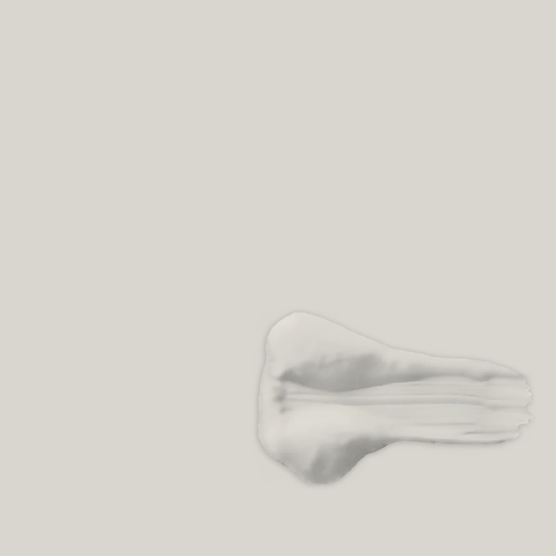 Краска Aeterna цвет Рисовая Бумага S10 Ideal Matt 0,065 л