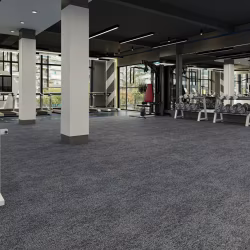 Ковровая плитка Alpine Floor Astoria Ротонда 401-1 500×500×7