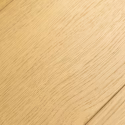 Ламинат FirstFloor Черный Бархат Дуб Терра 1F422 1520×196×8