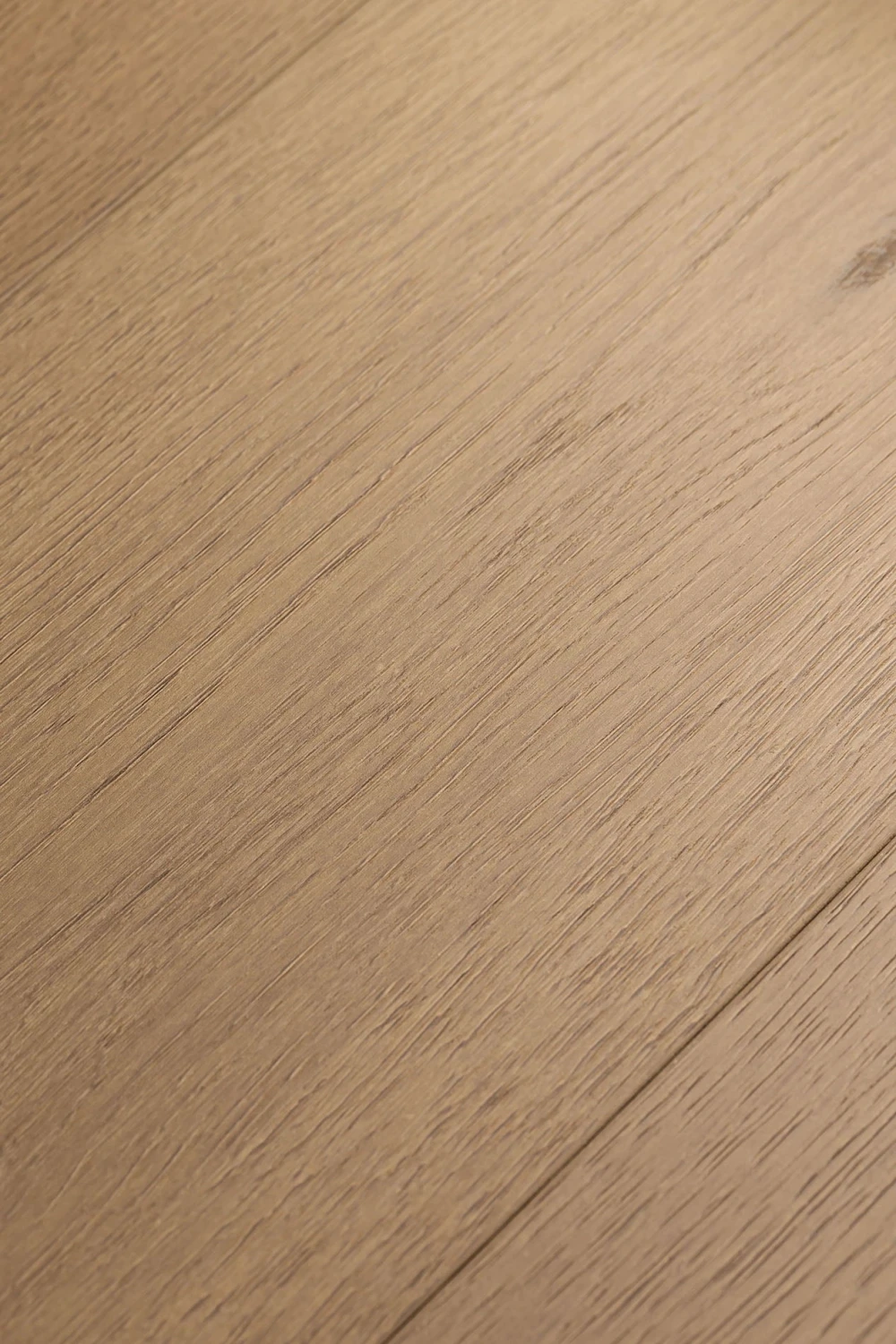 Ламинат FirstFloor Черный Бархат Дуб Ноктюрн 1F429 1520×196×8