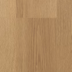 Ламинат FirstFloor Благородный Матовый Дуб Апертус 1F328 1515×195×8