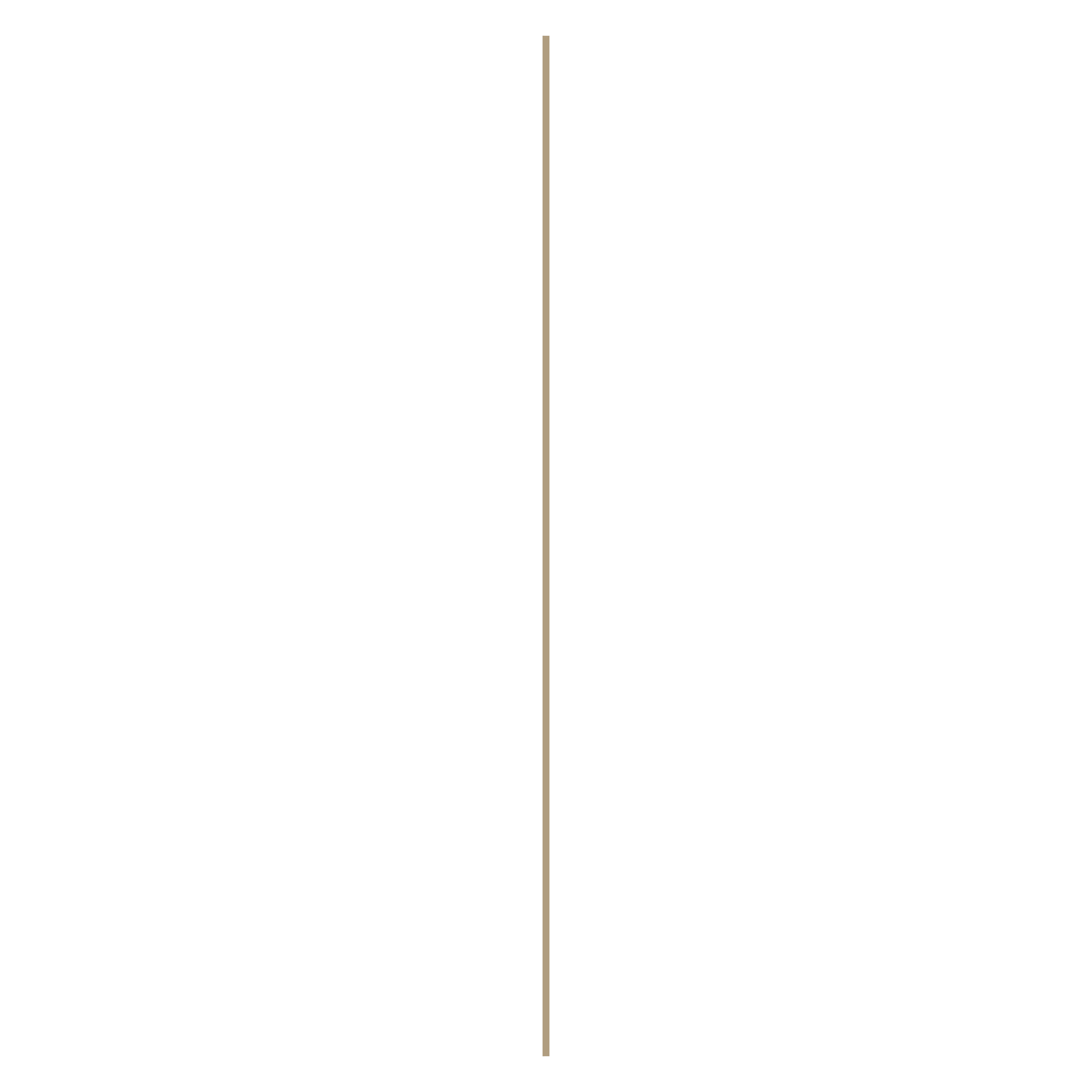 Финишный молдинг Ultrawood Next FE WPC 003 R2 2950×20×9,5