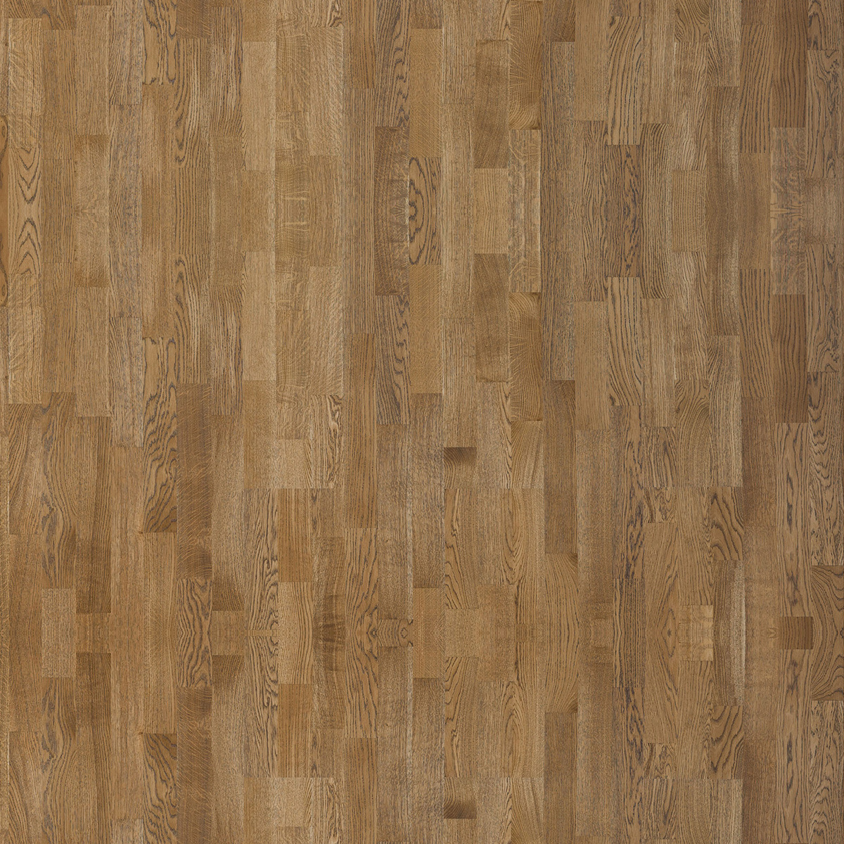 Паркетная доска Focus Floor Smart Дуб Лайвли Lively Oiled 3S 30111727A2020175 робуст 1116×188×14