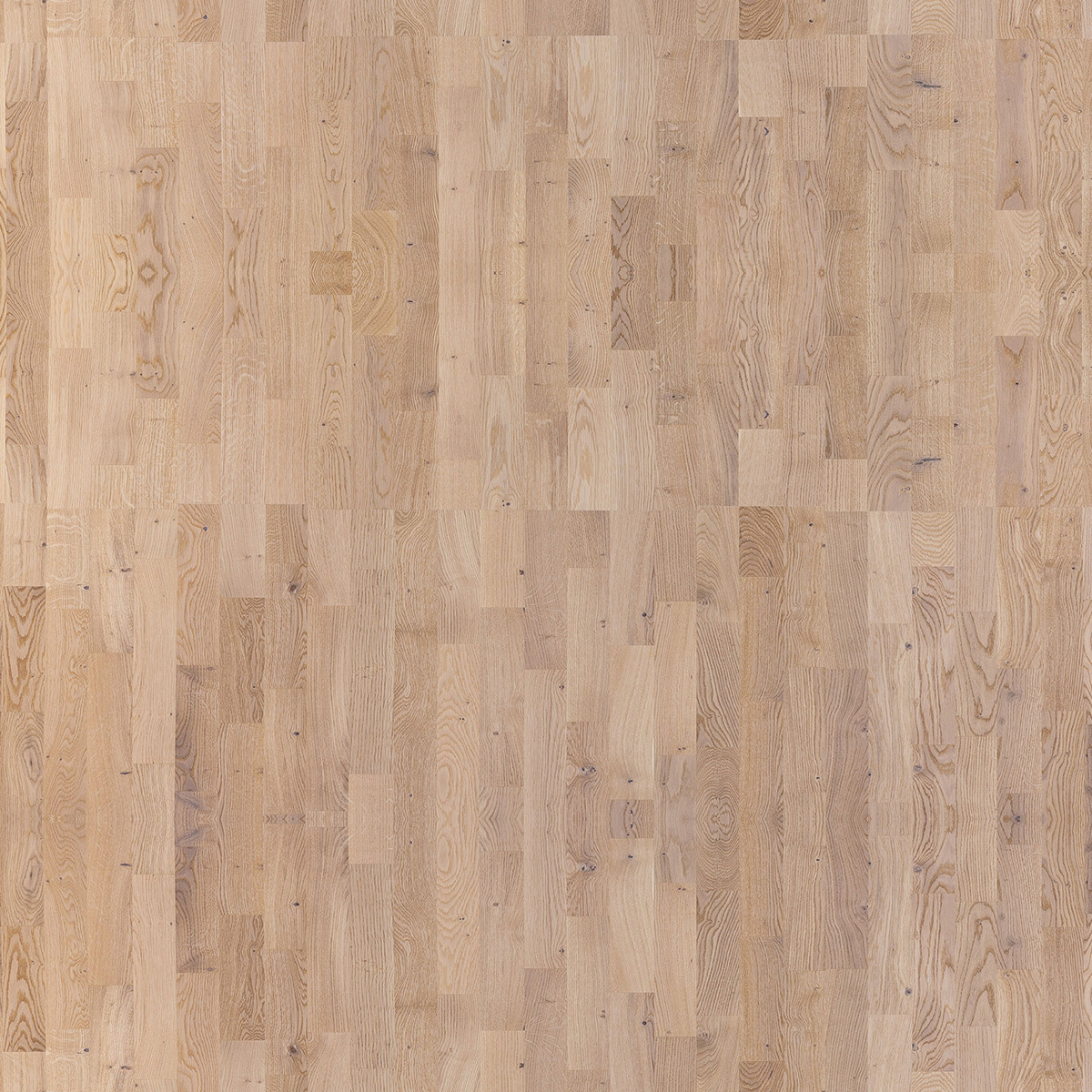 Паркетная доска Focus Floor Smart Дуб Санни Вайт Sunny White Matt 3S 30111727A4001175 кантри 1116×188×14
