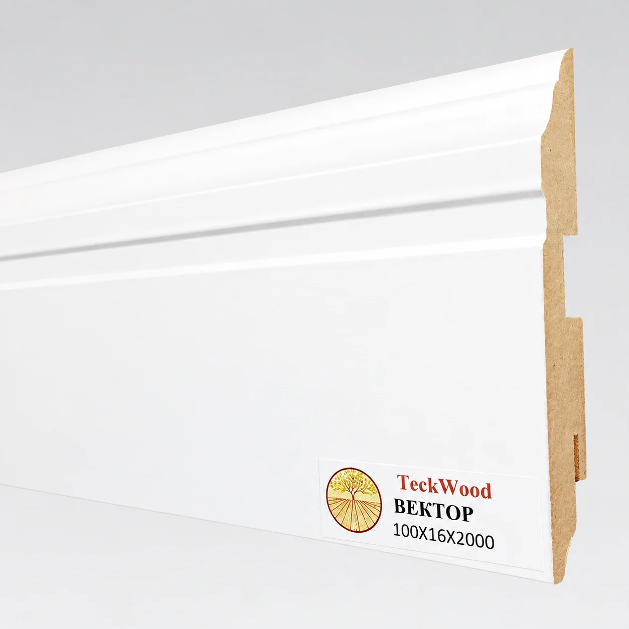 Плинтус МДФ ламинированный TeckWood белый Вектор матовый 2000×100×16