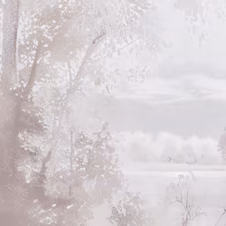 Панно Marburg След Trace 97798 2,70×3,18