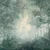 Панно Marburg След Trace 97799 2,70×3,18