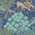 Панно Affresco Исторические обои часть 1 WM1892-COL4 3,15×1,04