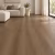 Кварцвиниловый SPC ламинат Alpine Floor Grand Sequoia Брита ECO 11-34 1220×183×4 фото в интерьере