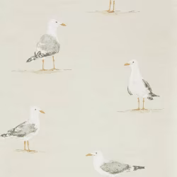 Обои Sanderson Port Isaac Shore Birds 216563