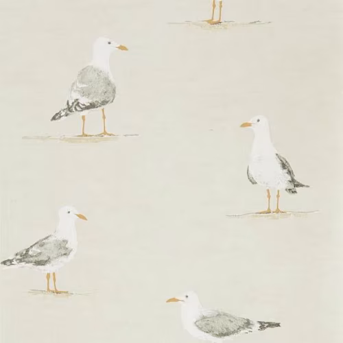 Обои Sanderson Port Isaac Shore Birds 216563