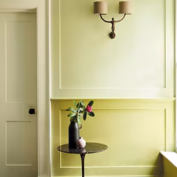 Краска Little Greene цвет Edith Eyes 301