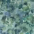 Обои Designers Guild Zardozi Surimono PDG1062/04