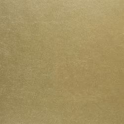 Обои Designers Guild Zardozi Ernani P502/01