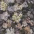 Обои Designers Guild Flowers Volume 1 Delft Flower PDG1033/01