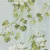 Обои Designers Guild Flowers Volume 1 Floreale PDG673/02