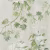 Обои Designers Guild Flowers Volume 1 Floreale PDG673/05