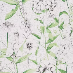Обои Designers Guild Flowers Volume 1 Emilie PDG1050/01