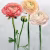 Панно Designers Guild Foscari Fresco Tourangelle Scene 2 Peony PDG1100/01