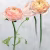 Панно Designers Guild Foscari Fresco Tourangelle Scene 1 PDG1099/01
