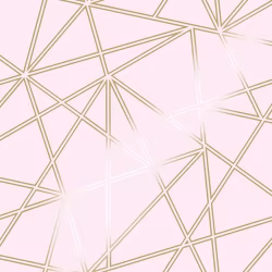 Обои Holden Glasshouse Omega Dusky Pink 90275