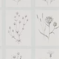 Обои Sanderson Embleton Bay Little Thistles 216513