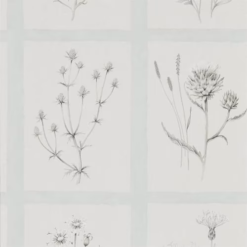 Обои Sanderson Embleton Bay Little Thistles 216513