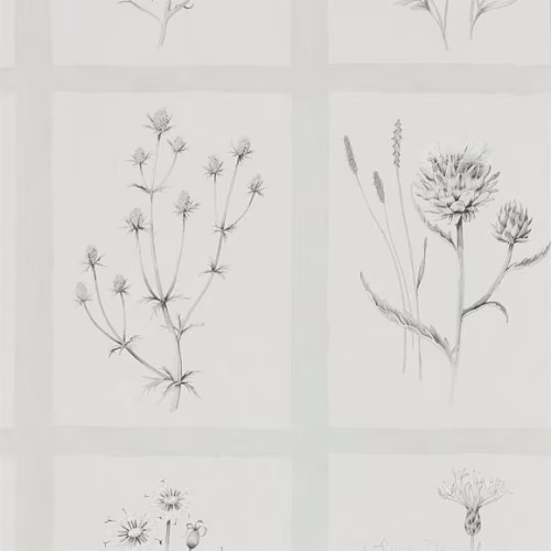Обои Sanderson Embleton Bay Little Thistles 216512