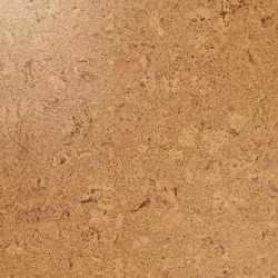Пробковый пол клеевой Wicanders Pure Originals Shell AJ8E002 600×300×4