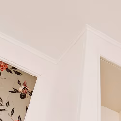 Потолочный плинтус под покраску Orac Decor Luxxus C250 2000×16×16