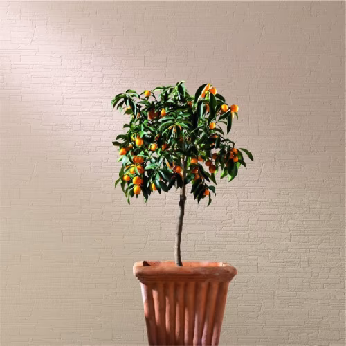 Обои под покраску Marburg Patent Decor 9443