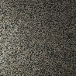 Обои 1838 Wallcoverings Elodie Emile Jet 1907-141-06