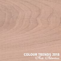 Цветное масло Rubio Monocoat Oil Plus 2C Trend Color Winter Blush
