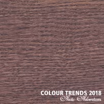 Цветное масло Rubio Monocoat Oil Plus 2C Trend Color Heather Purple