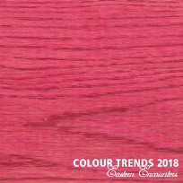 Цветное масло Rubio Monocoat Oil Plus 2C Trend Color Pomegranate Pink 0,35 л
