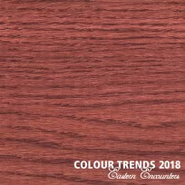 Цветное масло Rubio Monocoat Oil Plus 2C Trend Color Rusty Brown 0,02 л