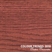 Цветное масло Rubio Monocoat Oil Plus 2C Trend Color Rusty Brown 1,3 л